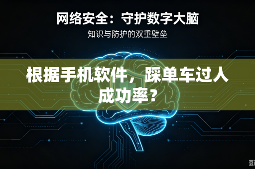 根据手机软件，踩单车过人成功率？