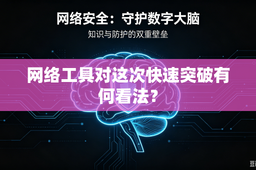 网络工具对这次快速突破有何看法？