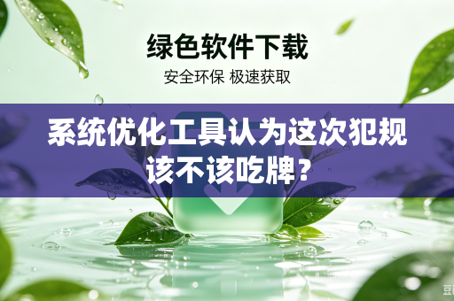 系统优化工具认为这次犯规该不该吃牌？