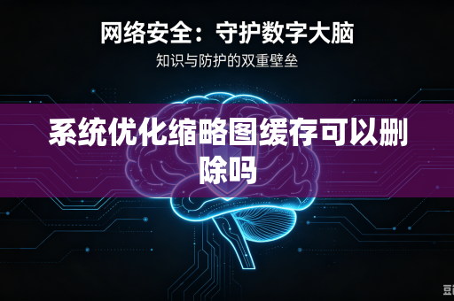 系统优化缩略图缓存可以删除吗-第1张图片-电脑手机工具软件下载 - 免费实用工具合集 | 联启科技