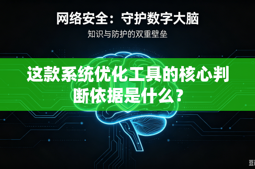 这款系统优化工具的核心判断依据是什么？