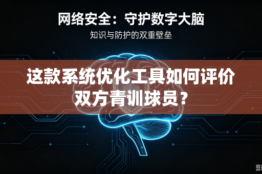 这款系统优化工具如何评价双方青训球员？