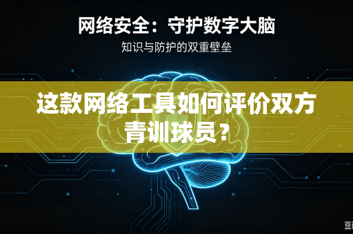 这款网络工具如何评价双方青训球员？