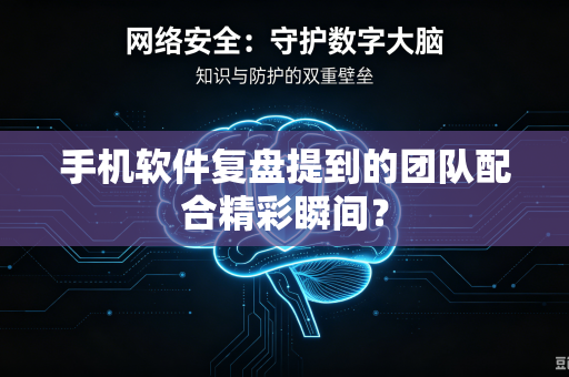 手机软件复盘提到的团队配合精彩瞬间？