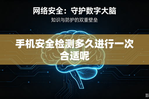 手机安全检测多久进行一次合适呢