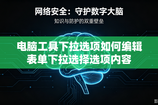 电脑工具下拉选项如何编辑表单下拉选择选项内容-第1张图片-电脑手机工具软件下载 - 免费实用工具合集 | 联启科技