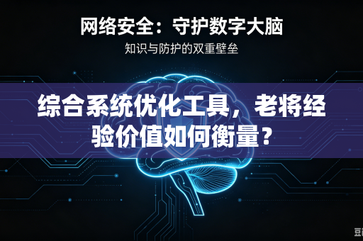 综合系统优化工具，老将经验价值如何衡量？