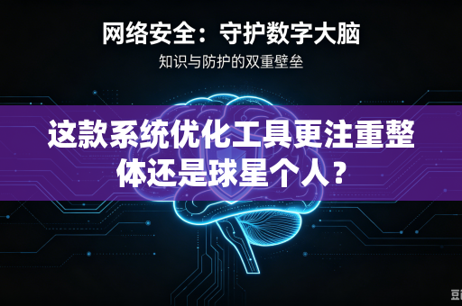 这款系统优化工具更注重整体还是球星个人？