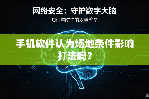 手机软件认为场地条件影响打法吗？