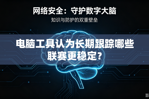 电脑工具认为长期跟踪哪些联赛更稳定？
