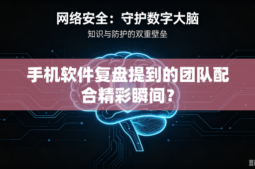 手机软件复盘提到的团队配合精彩瞬间？