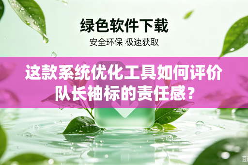 这款系统优化工具如何评价队长袖标的责任感？
