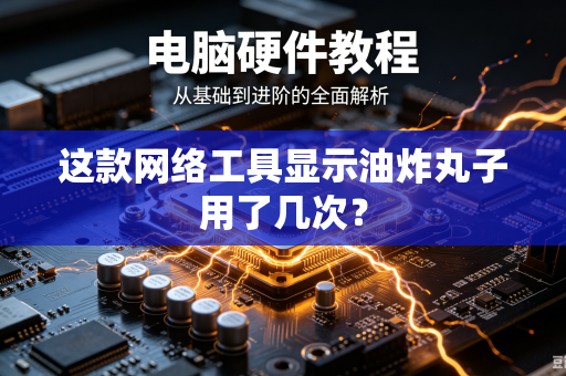 这款网络工具显示油炸丸子用了几次？