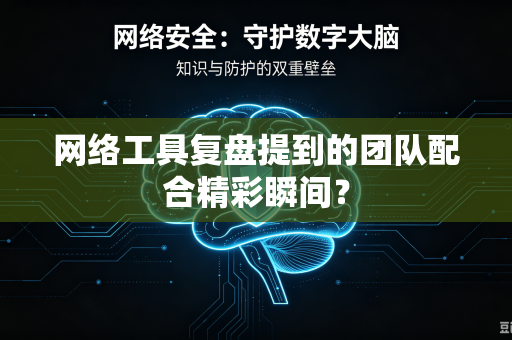 网络工具复盘提到的团队配合精彩瞬间？