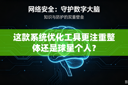 这款系统优化工具更注重整体还是球星个人？