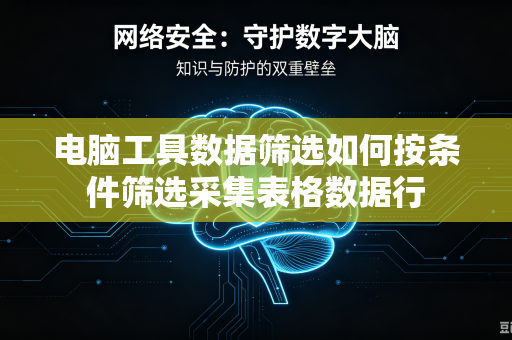 电脑工具数据筛选如何按条件筛选采集表格数据行