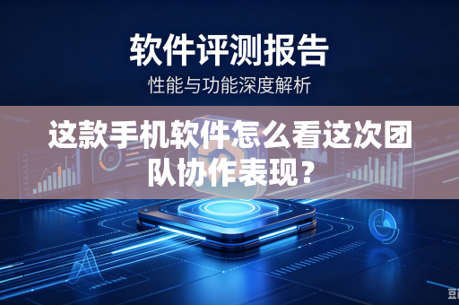 这款手机软件怎么看这次团队协作表现？
