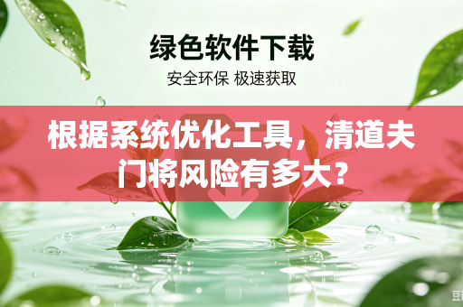 根据系统优化工具，清道夫门将风险有多大？