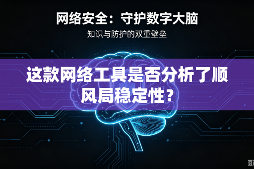 这款网络工具是否分析了顺风局稳定性？