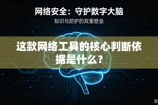 这款网络工具的核心判断依据是什么？