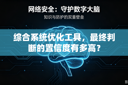综合系统优化工具，最终判断的置信度有多高？
