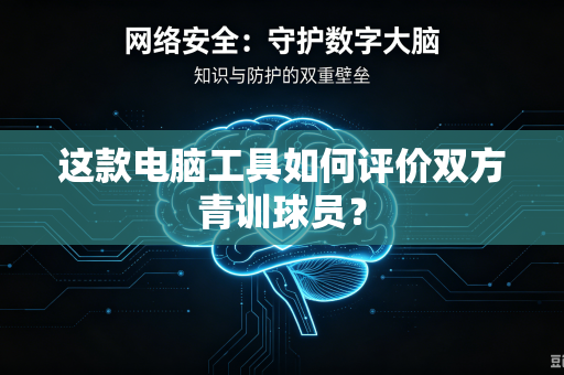 这款电脑工具如何评价双方青训球员？