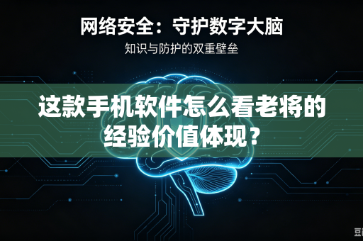 这款手机软件怎么看老将的经验价值体现？