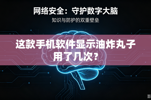 这款手机软件显示油炸丸子用了几次？
