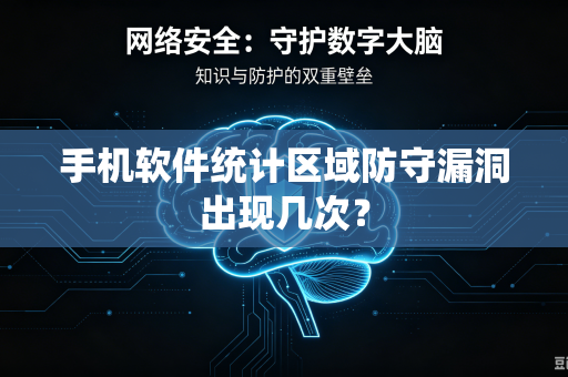手机软件统计区域防守漏洞出现几次？