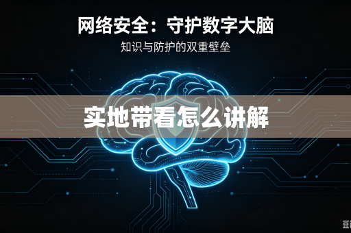 实地带看怎么讲解