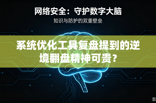 系统优化工具复盘提到的逆境翻盘精神可贵？