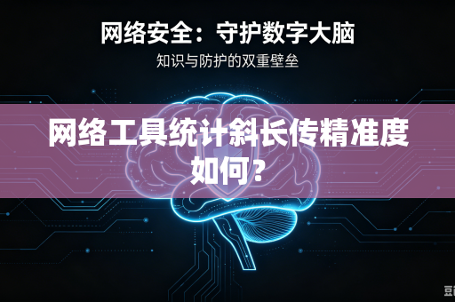 网络工具统计斜长传精准度如何？