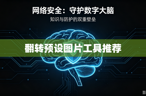 翻转预设图片工具推荐