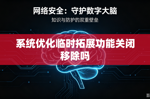 系统优化临时拓展功能关闭移除吗