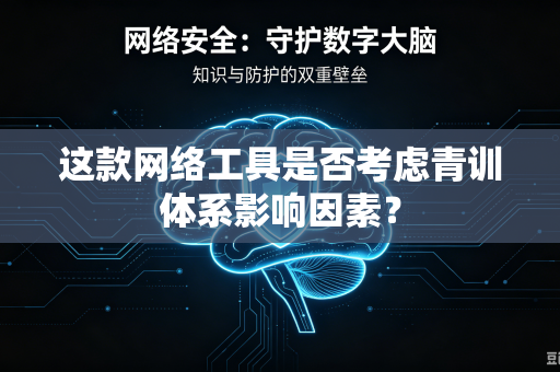 这款网络工具是否考虑青训体系影响因素？