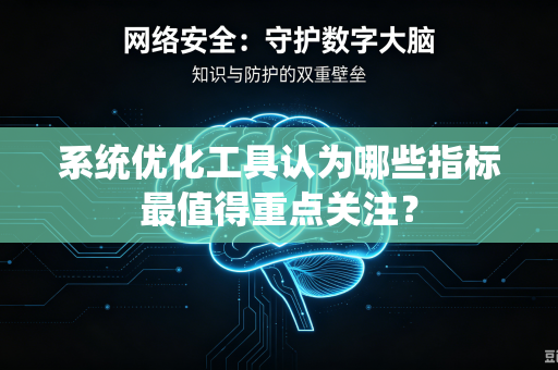 系统优化工具认为哪些指标最值得重点关注？