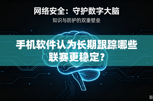 手机软件认为长期跟踪哪些联赛更稳定？