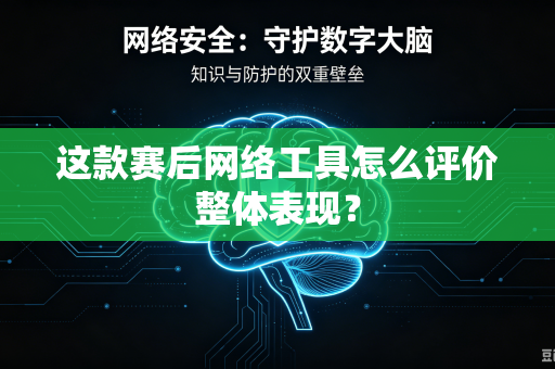 这款赛后网络工具怎么评价整体表现？