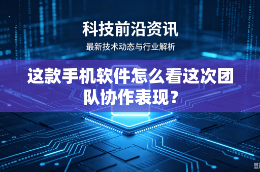 这款手机软件怎么看这次团队协作表现？