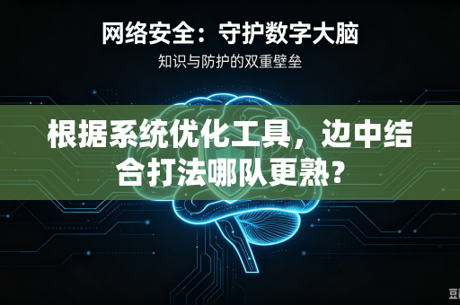根据系统优化工具，边中结合打法哪队更熟？
