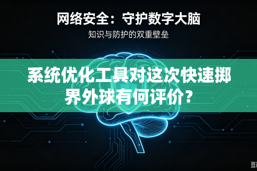 系统优化工具对这次快速掷界外球有何评价？