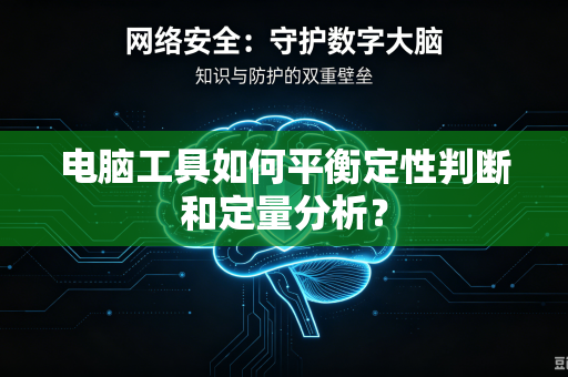 电脑工具如何平衡定性判断和定量分析？