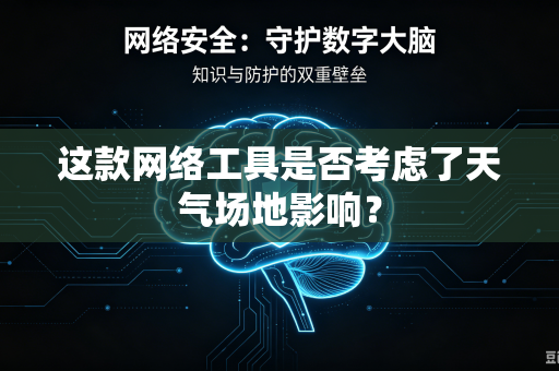 这款网络工具是否考虑了天气场地影响？