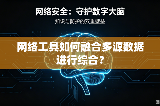 网络工具如何融合多源数据进行综合？