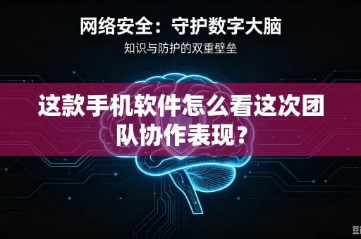 这款手机软件怎么看这次团队协作表现？
