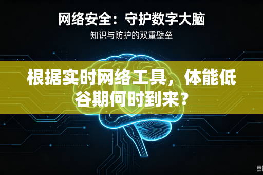 根据实时网络工具，体能低谷期何时到来？-第1张图片-电脑手机工具软件下载 - 免费实用工具合集 | 联启科技