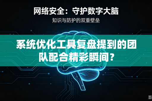 系统优化工具复盘提到的团队配合精彩瞬间？