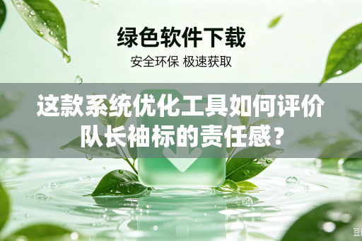 这款系统优化工具如何评价队长袖标的责任感？