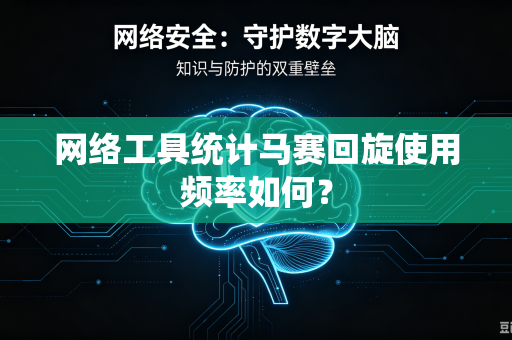网络工具统计马赛回旋使用频率如何？