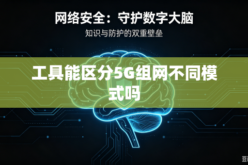 工具能区分5G组网不同模式吗